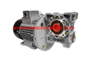 AC 0.25HP 230V 100RPM Worm Gear Motor
