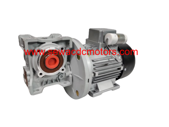AC 0.25HP 230V 100RPM Worm Gear Motor