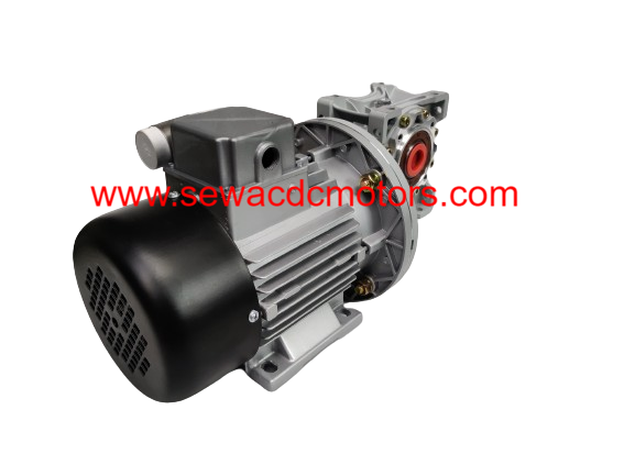 AC 0.25HP 230V 100RPM Worm Gear Motor