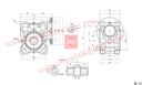 AC 0.25HP 230V 100RPM Worm Gear Motor