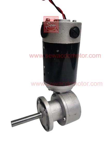 PMDC 150w 24v 25RPM 220 KG/CM Inline Gear motor