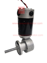 PMDC 150w 24v 25RPM 220 KG/CM Inline Gear motor