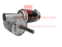PMDC 150w 24v 25RPM 220 KG/CM Inline Gear motor