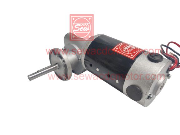PMDC 150w 24v 25RPM 220 KG/CM Inline Gear motor