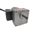 AC  25W 230V 30RPM Inline Gear Motor