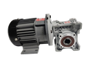 BLDC 750W 48V 60RPM 600Kg/cm Worm Gear Motor
