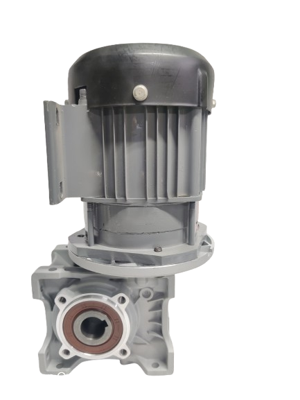 BLDC 750W 48V 60RPM 600Kg/cm Worm Gear Motor