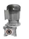 BLDC 750W 48V 60RPM 600Kg/cm Worm Gear Motor