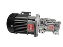 BLDC 750W 48V 60RPM 600Kg/cm Worm Gear Motor