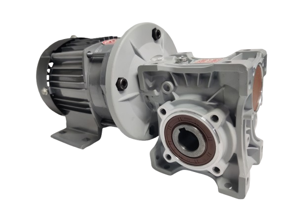 BLDC 750W 48V 60RPM 600Kg/cm Worm Gear Motor
