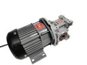 BLDC 750W 48V 60RPM 600Kg/cm Worm Gear Motor