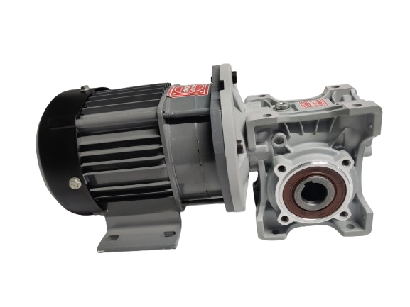 BLDC 750W 48V 60RPM 600Kg/cm Worm Gear Motor