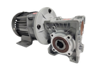 BLDC 750W 48V 60RPM 600Kg/cm Worm Gear Motor
