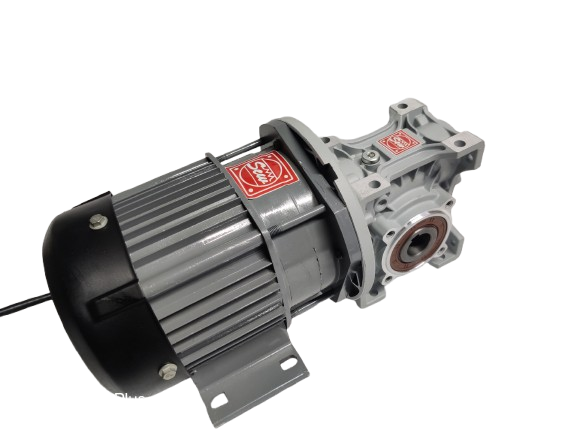 BLDC 750W 48V 60RPM 600Kg/cm Worm Gear Motor