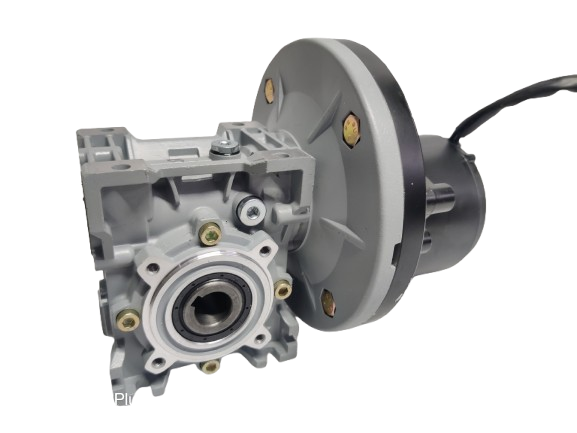 PMDC 250W High Torque Worm Gear Motor