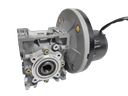 PMDC 250W High Torque Worm Gear Motor