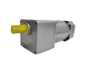 AC  90W 230V 10RPM Inline Gear Motor  