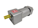 AC  90W 230V 10RPM Inline Gear Motor  