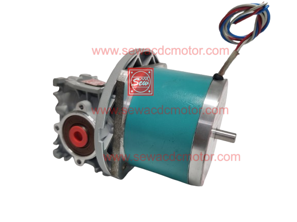 AC SYN 10SEW 150KG/CM 230V 2.5RPM Worm Gear Motor