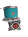 AC SYN 10SEW 150KG/CM 230V 2.5RPM Worm Gear Motor