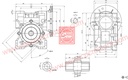 E-BIKE DC WORM GEARED MOTOR MY1016Z3 24V 50RPM 350W 600 KG/CM