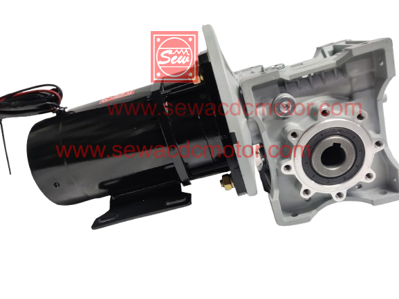 PMDC 800W 24V 100RPM 450Kg/cm Worm Gear Motor 