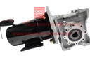 PMDC 800W 24V 100RPM 450Kg/cm Worm Gear Motor 