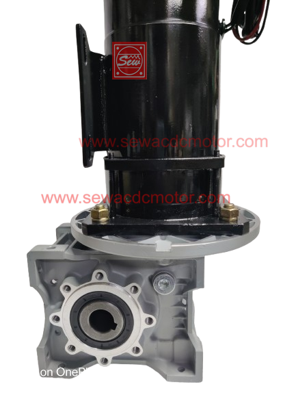 PMDC 800W 24V 100RPM 450Kg/cm Worm Gear Motor 
