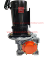 PMDC 800W 24V 100RPM 450Kg/cm Worm Gear Motor 