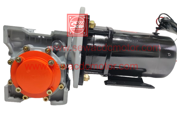 PMDC 800W 24V 100RPM 450Kg/cm Worm Gear Motor 
