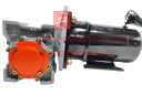 PMDC 800W 24V 100RPM 450Kg/cm Worm Gear Motor 