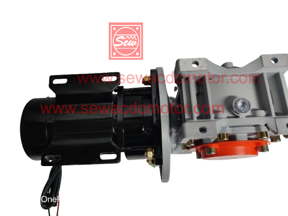 PMDC 800W 24V 100RPM 450Kg/cm Worm Gear Motor 
