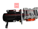 PMDC 800W 24V 100RPM 450Kg/cm Worm Gear Motor 