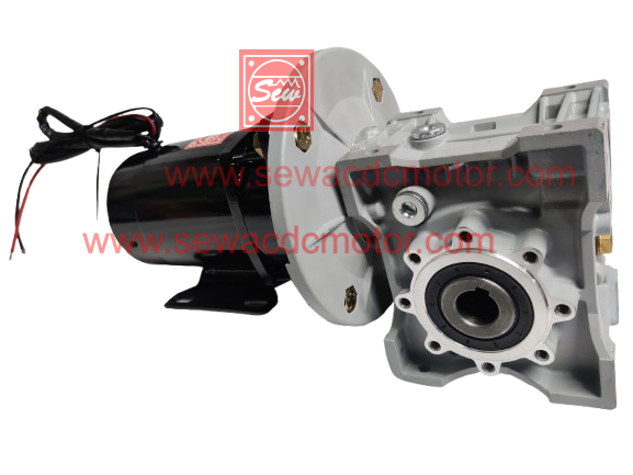 PMDC 800W 24V 100RPM 450Kg/cm Worm Gear Motor 