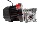 BLDC 500W 48V 400RPM 180Kg/cm Worm Gear Motor 