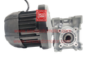 BLDC 500W 48V 400RPM 180Kg/cm Worm Gear Motor 