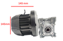 BLDC 500W 48V 400RPM 180Kg/cm Worm Gear Motor 
