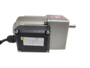 AC  25W 230V 30RPM Inline Gear Motor