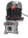 BLDC 500W 48V 400RPM 180Kg/cm Worm Gear Motor 