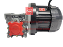 BLDC 500W 48V 400RPM 180Kg/cm Worm Gear Motor 