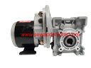 PMDC 350W 24V 25RPM 900 KG/CM WORM GEAR MOTOR