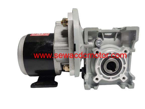 PMDC 250W 24V 50RPM 360 KG/CM WORM GEAR MOTOR 