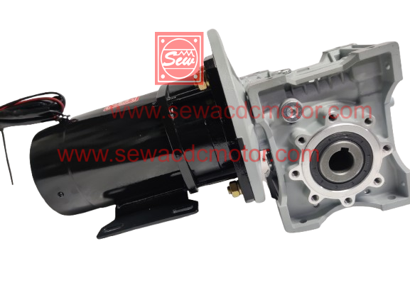 PMDC 800W 24V 100RPM 250Kg/cm Worm Gear Motor 