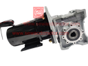 PMDC 800W 24V 100RPM 250Kg/cm Worm Gear Motor 