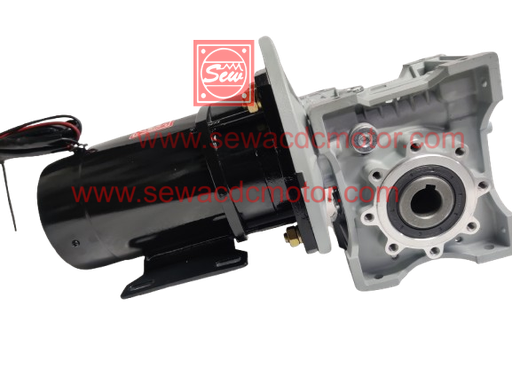 PMDC 800W 24V 60RPM 450Kg/cm Worm Gear Motor  