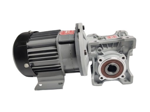 BLDC 750W 48V 100RPM 450Kg/cm Worm Gear Motor 